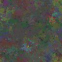 World at epoch 79000