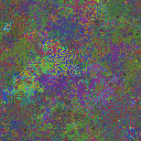 World at epoch 150000