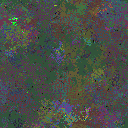 World at epoch 81000