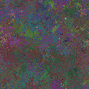 World at epoch 79000