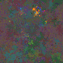 World at epoch 80000