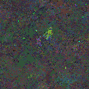 World at epoch 63000