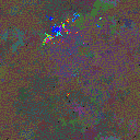 World at epoch 81000