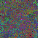 World at epoch 95000