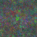 World at epoch 80000
