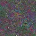 World at epoch 76000
