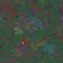 World at epoch 79000