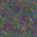 World at epoch 85000