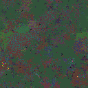 World at epoch 81000