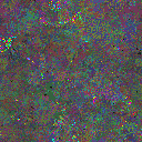 World at epoch 79000