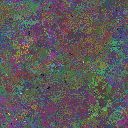World at epoch 115000