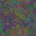 World at epoch 78000