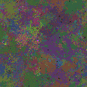 World at epoch 80000