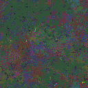 World at epoch 115000