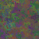 World at epoch 82000