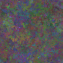 World at epoch 128000