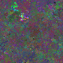 World at epoch 100000