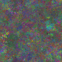 World at epoch 95000