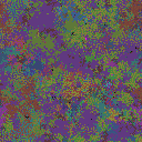 World at epoch 65000