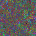 World at epoch 96000