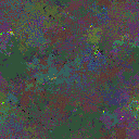 World at epoch 95000
