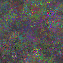 World at epoch 67000