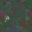 World at epoch 115000