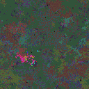 World at epoch 116000