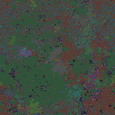 World at epoch 125000