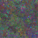 World at epoch 76000
