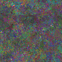 World at epoch 77000