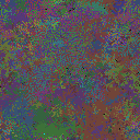World at epoch 79000