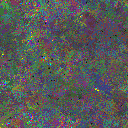 World at epoch 79000