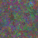 World at epoch 116000