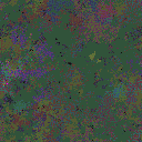 World at epoch 137000