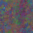 World at epoch 80000