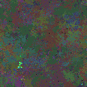 World at epoch 115000