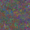 World at epoch 135000