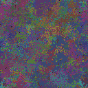 World at epoch 95000