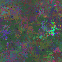 World at epoch 135000