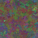 World at epoch 95000