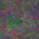 World at epoch 116000