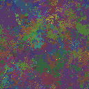 World at epoch 79000