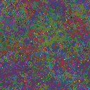 World at epoch 61000