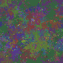 World at epoch 135000