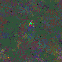 World at epoch 155000