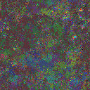 World at epoch 79000