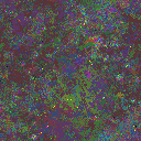 World at epoch 81000