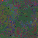World at epoch 159000