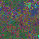 World at epoch 135000